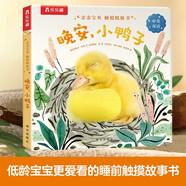 親親寶貝觸摸紙板書(shū)-晚安，小鴨子 可點(diǎn)讀[1-4歲]中英雙語(yǔ) 寶寶語(yǔ)言啟蒙繪本睡前故事書(shū) 樂(lè)樂(lè)趣童書(shū)