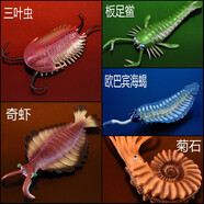 林暢模玩寒武紀奧陶紀生物兒童玩具仿真早教動(dòng)物模型史前時(shí)代海洋遠古巨獸 三葉蟲(chóng)+奇蝦+歐巴賓+板足鱟+菊石