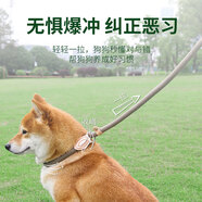 加仕高P鏈狗繩寵物狗狗牽引繩中大型犬16mm防爆沖遛鏈子項圈1.8米用品
