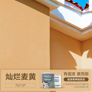 嘉寶莉靚家外墻漆防水防曬外墻乳膠漆工程建筑墻面漆環(huán)保涂料白漆油漆 燦爛麥黃 20KG刷80-100平米（送工具）
