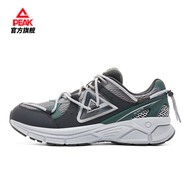 匹克復古跑鞋男鞋春季新款官網(wǎng)旗艦老爹鞋網(wǎng)面透氣耐磨跑步鞋運動鞋 銀灰/仙人掌綠 40