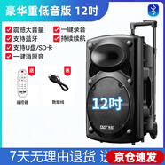 先科廣場舞音響專業(yè)戶外k歌音箱帶話筒家用拉桿藍牙手拉麥克風 12吋不帶話筒