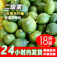 正宗廣東香水檸檬爆香新鮮無(wú)籽精品一級果 春季果皮偏厚汁少爆香 18斤（凈重二級果奶茶店口味）