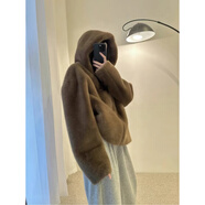 熒蒂（YINGDI）棕色仿水貂絨皮草女2025冬季新款美拉德連帽皮毛一體毛毛短外套女 棕色 S