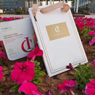 迷幻之城IC面膜煥顏滋潤修護保濕補水孕婦可用一盒10貼 30g IC面膜五盒