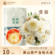 杞利元貢菊 黃山貢菊花35g 大白菊菊花茶貢菊花草茶代用茶養生茶袋裝