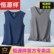 恒源祥男士保暖背心德絨無痕打底衫無袖內(nèi)衣秋冬季加絨男上衣 【2件德絨無痕背心】淺灰+寶藍 3XL 185
