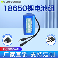 德力普（Delipow）18650鋰電池 3.7V7.4V12v鋰電池組大容量唱戲機電池釣魚燈戶外音響頭燈掃地機可用充電電池電源 12V3000mAh【DC公母接頭+充電器】B款