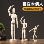 素描木偶模型 繪畫素描速寫模特工具人偶大小比例木頭人關(guān)節(jié)人可動(dòng)美術(shù)用手辦人體結(jié)構(gòu)假人 素描木人偶8英寸【約20cm】