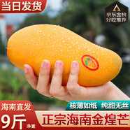 譯優(yōu)農(nóng)正宗海南芒果三亞金煌芒新鮮熱帶水果當(dāng)季水仙特大甜心芒特產(chǎn)送禮 凈重5斤嘗鮮裝【單果150g+】