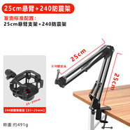 尖越萊維特麥克風(fēng)支架電容話(huà)筒防震架桌面懸臂底座固定夾延長(cháng)伸縮配件 240-440防震架+25cm懸臂支架