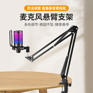 非梵迪（FIFINE） 麥克風(fēng)配件 麥克風(fēng)懸臂35支架