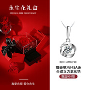 銀千惠999足銀項(xiàng)鏈女士玫瑰吊墜高級(jí)感輕奢生日520情人節(jié)禮物送女友老婆 奧地利進(jìn)口白鋯+999瓜子鏈+永生花禮盒
