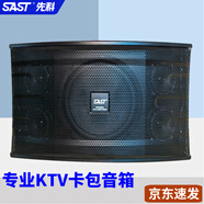 先科（SAST） 專(zhuān)業(yè)家庭影院ktv卡包音響套裝中級舞臺無(wú)源音箱 會(huì )議全頻音響 家庭卡拉OK 10寸卡包箱【A10v】【一對】