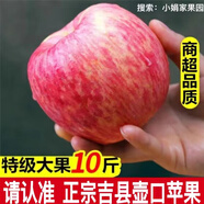 正宗山西吉縣蘋(píng)果壺口蘋(píng)果冰糖心蘋(píng)果新鮮紅富士蘋(píng)果 75mm中果整箱9.6-10斤23顆左右
