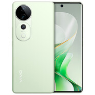 vivo S19 Pro/ S19  影棚級(jí)變焦柔光環(huán) 索尼雙5000萬全焦段人像 5G拍照手機(jī) S19Pro丨千山翠（天璣9200+） 8GB+256GB