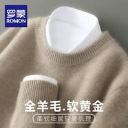 羅蒙（ROMON）一線(xiàn)成衣純羊毛衫男士半高領(lǐng)加厚毛衣冬季寬松羊毛針織打底衫 825駝色 L
