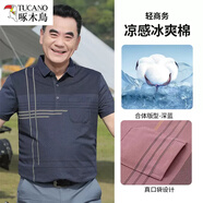 啄木鳥爸爸夏裝中老年t恤40-50歲中年男士夏季薄款冰絲短袖爺爺寬松半袖 23940藍(lán)青 XL /175