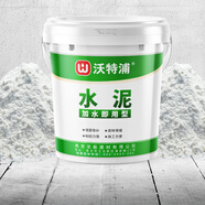 沃特浦白水泥快干墻面修補(bǔ)瓷磚防水填縫劑堵漏王速干水泥膠地面修復(fù)材料 白水泥20斤+工具