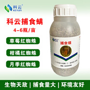 科云捕食螨天敵防治抗性紅蜘蛛白蜘蛛薊馬草莓柑橘月季用不傷蜂 3萬只*1