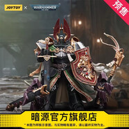 暗源JOYTOY暗源戰(zhàn)錘40K黑暗天使基因原體萊昂·艾爾莊森現(xiàn)貨可動(dòng)兵人 基因原體萊昂·艾爾莊森 黑暗天使