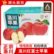 洛川蘋果陜西延安特產(chǎn)紅富士時令蘋果水果禮盒送蘋果生鮮新鮮脆甜整箱批發(fā) 10斤中果75-80mm（凈重8.5斤）