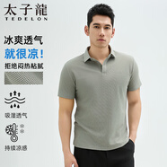 太子龍男士短袖polo衫2025夏季透氣純色百搭商務(wù)休閑抗皺翻領(lǐng)男士t恤 淺灰色 L 建議120-140斤