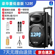 先科廣場舞音響專業(yè)戶外k歌音箱帶話筒家用拉桿藍牙手拉麥克風 12吋+雙話筒+U盤+支架