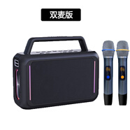 飛利浦（PHILIPS）SD228 戶外藍牙音箱廣場舞音響 大功率便攜手提K歌舞臺低音炮會議教學擴音器帶麥克風 標配（雙麥版）