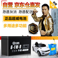 超威（CHILWEE）大容量電瓶12V9Ah卷閘門噴霧器電梯安防音響四輪童車UPS蓄電池12V