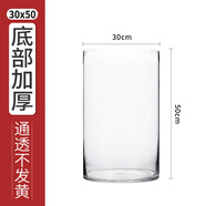奇敬大號直筒高硼硅玻璃花瓶馬醉木富貴竹專(zhuān)用花瓶客廳酒店花瓶擺件 【口30×高50cm】 玻璃花瓶（不含花）