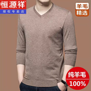 恒源祥特價 撿漏100%純羊毛衫男士秋冬季圓領(lǐng)套頭薄款毛衣打底針織衫男 卡其【V.領(lǐng)】23101 2XL