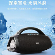維爾晶（W-King）D20手提音響大功率戶外直播唱歌樂器音箱防水 D20【黑色】