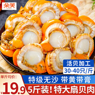 朵芙扇貝肉 扇貝粉絲蒜蓉 扇貝柱 超大帶黃扇貝肉生鮮貝類(lèi)冷凍 【商用批發(fā)】超大帶黃扇貝肉5斤