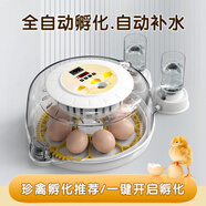 暖立方 家用型孵化器智能小雞孵化機(jī)全自動(dòng)小型雞鴨鵝孵化箱蘆丁孵蛋器 【自動(dòng)補(bǔ)水】8枚全自動(dòng)單電