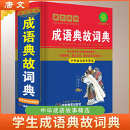 學(xué)生成語(yǔ)典故詞典 學(xué)生通用工具書(shū)中小學(xué)生工具書(shū)小學(xué)初中高中字典詞典工具書(shū) 唐文字典辭書(shū)
