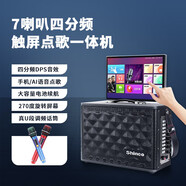 新科（Shinco）V-817廣場舞音響帶顯示屏大音量手提k歌音箱家用無線 V817雙U段無線話筒