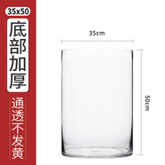 奇敬大號直筒高硼硅玻璃花瓶馬醉木富貴竹專(zhuān)用花瓶客廳酒店花瓶擺件 【口35×高50cm】 玻璃花瓶（不含花）