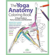英文原版 瑜伽解剖填色書(shū) The Yoga Anatomy Coloring Book: A Visual Guide to Form, Function, and Movement
