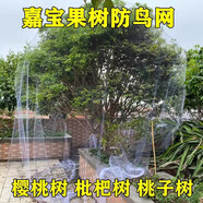 皓鑫防鳥(niǎo)用網(wǎng)果園防鳥(niǎo)天網(wǎng)魚(yú)塘防鳥(niǎo)尼龍網(wǎng)葡萄防鳥(niǎo)用的網(wǎng)果樹(shù) 3米寬3米長(cháng) 2.5網(wǎng)口