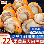 朵芙扇貝肉 扇貝粉絲蒜蓉 扇貝柱 超大帶黃扇貝肉生鮮貝類(lèi)冷凍 【家庭實(shí)惠裝】超大帶黃扇貝肉4斤