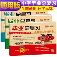套裝3冊 2023新版小升初畢業(yè)總復(fù)習(xí)測試卷語文+數(shù)學(xué)+英語全套小升初入學(xué)測試卷 小學(xué)畢業(yè)升學(xué)必備測試卷小升初真題卷模擬卷沖刺名校