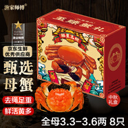 【活蟹】漁家?guī)煾荡箝l蟹全母3.3-3.6兩8只去繩足重鮮活螃蟹現(xiàn)貨生鮮水產(chǎn)實(shí)物海鮮禮盒