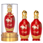 五糧液生態(tài)釀酒公司出品 52度 500mL 2瓶 華彩人生花鳥(niǎo)圖