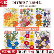 東之天地 干花壓花樹葉植物標(biāo)本DIY流蘇書簽幼兒園親子手工貼畫滴膠樹葉畫 DIY干花壓花【款式隨機(jī)一包】