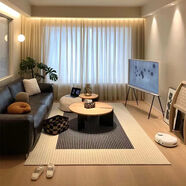 何佳功法式線(xiàn)條地毯客廳輕奢極簡(jiǎn)臥室床邊毯ins設計師耐臟 fs-哈瓦娜-德意絨 200*300厘米