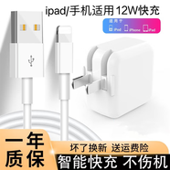 原奘 適用蘋(píng)果iPad充電器12W平板air4數據線(xiàn)mini5/4充電頭Air3充電線(xiàn)ipad7/air2/Pro/14 8 7XR/X se xs 【iPad套裝】12W快充+1米快充線(xiàn)