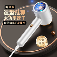 柏高電吹風(fēng)機(jī)家用藍(lán)光負(fù)離子護(hù)發(fā)大風(fēng)力速干2200W大功率恒溫大學(xué)生宿舍用吹風(fēng)筒 【香草白】2200W颶風(fēng)大功率