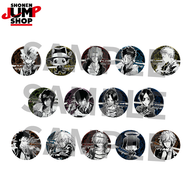 SHONEN JUMP SHOP官方家庭教師浮雕風(fēng)徽章吧唧第1彈盲盒沢田綱吉 隨機1個(gè)