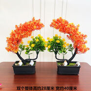 文手新款仿真花景室內客廳擺件電視柜茶幾擺設植物塑料花小盆栽擺飾品 黑盆[雙福來(lái)臨 夕陽(yáng)紅]+2盆4鳥(niǎo)